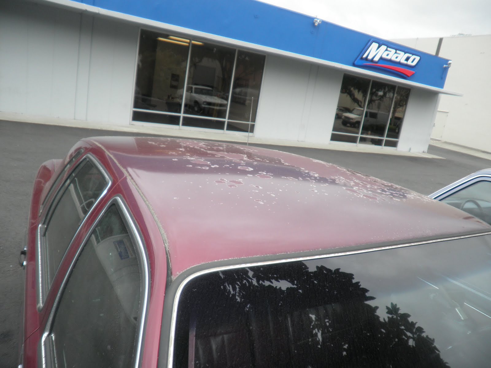 Auto BodyCollision RepairCar Paint in FremontHaywardUnion CitySan Francisco Bay Car of the