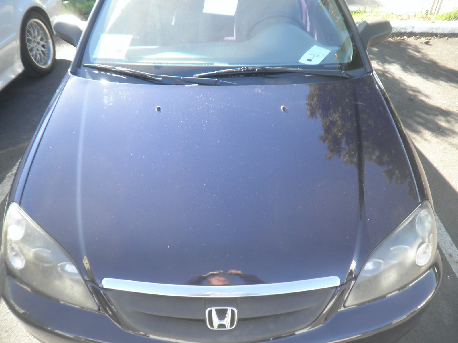World Car Review Car of the Day 2003 Honda Civic with Peeling Clear Coat