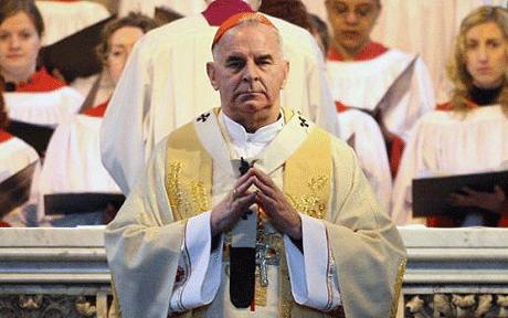 [cardinal_1382997c.jpg]