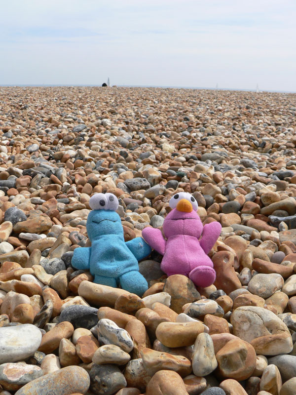 [brighton-cookies-on-beach.jpg]