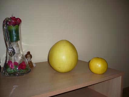 [P1000991+copiar.jpg]