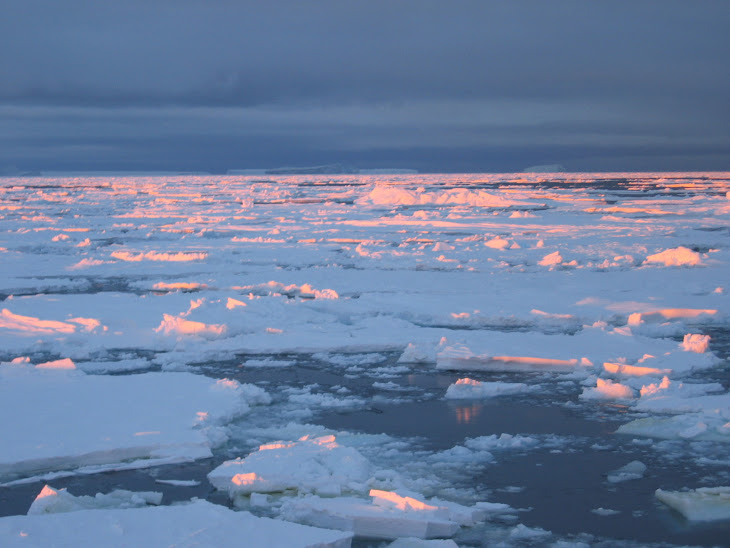 global warming2