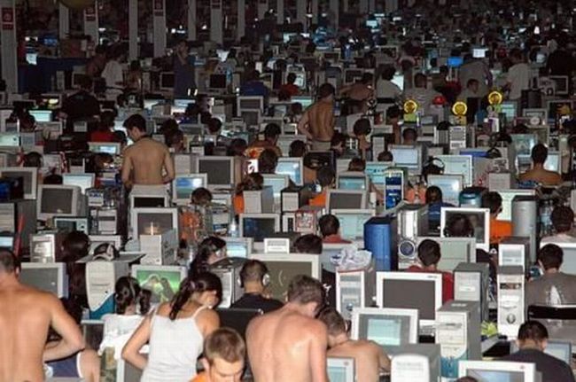 [net_01.jpg]