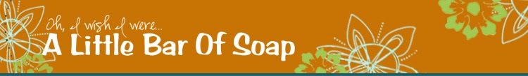 A Little Bar of Soap