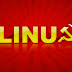 Rusia migra a Linux