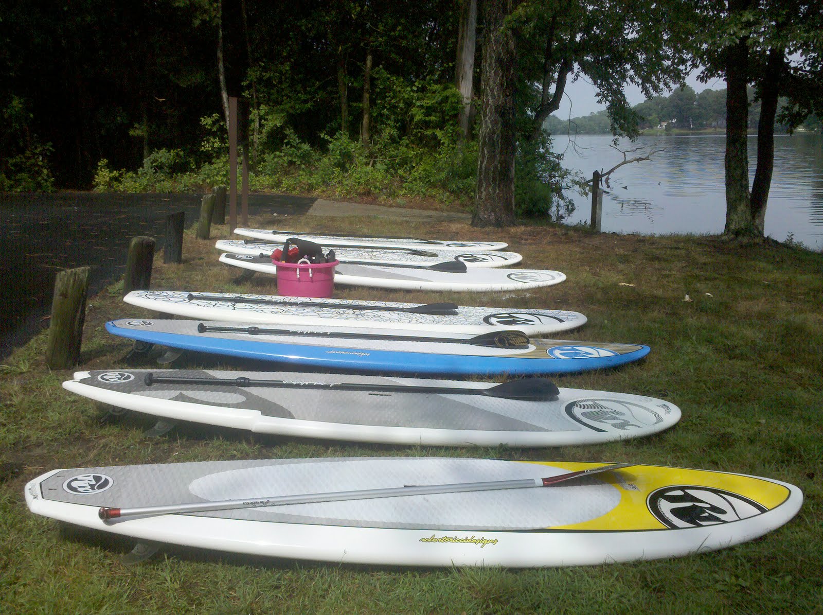 Live to Sail and SUP Stand Up Paddle Wellness Near Rehoboth and Dewey Beach, DE