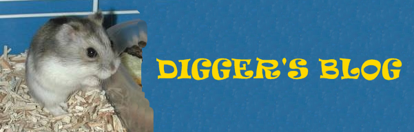 Digger's Blog