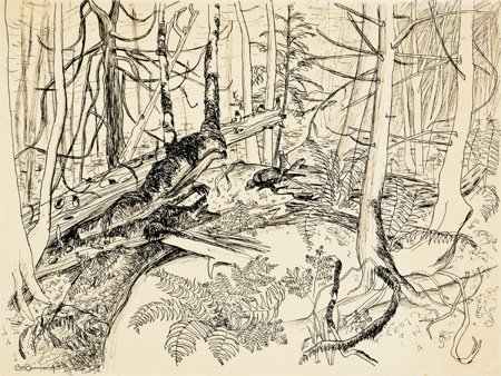 [drawn_bc_binning.jpg]