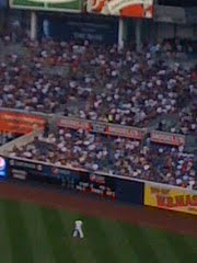 bleacher creatures beginning roll player call game
