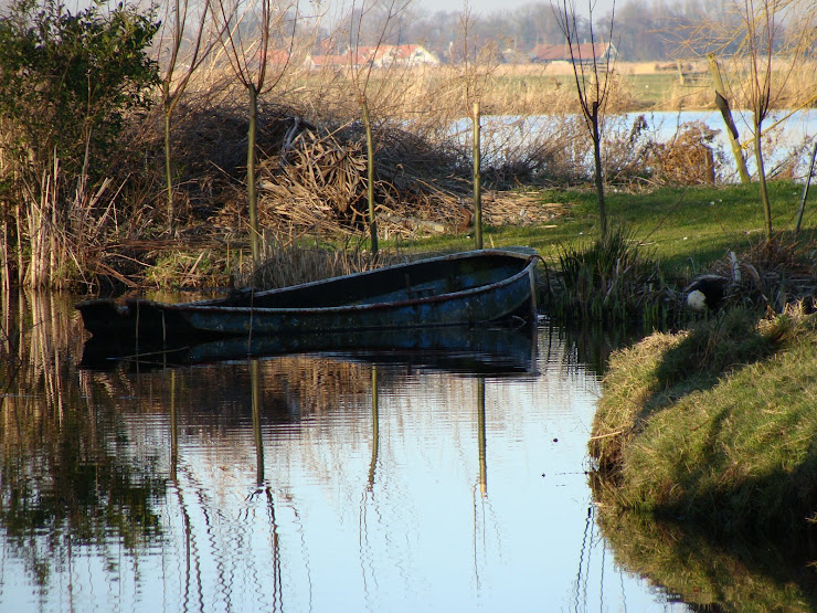 HOLYSLOOT