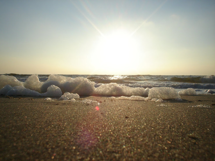 CALLANTSOOG 2007