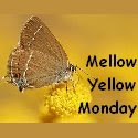 Mello Yellow Monday