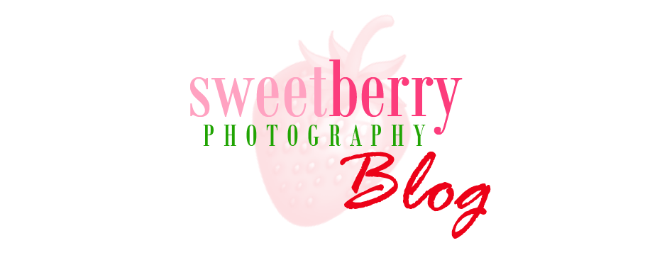 sweetberry photography blog
