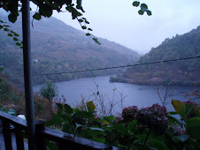 Bodega Diego de Lemos, en Pincelo.