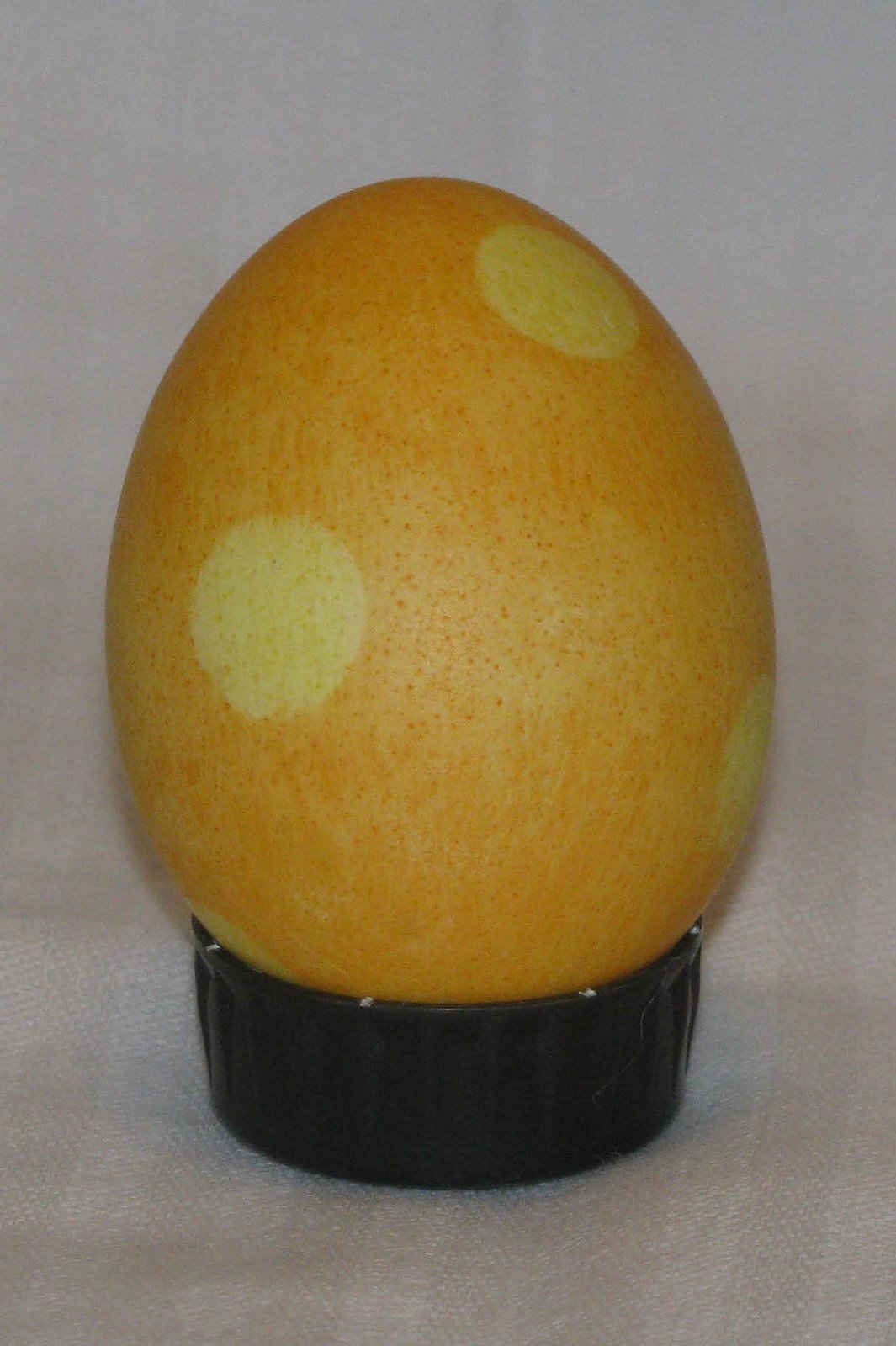 [IMG_0132_edited-1.jpg]