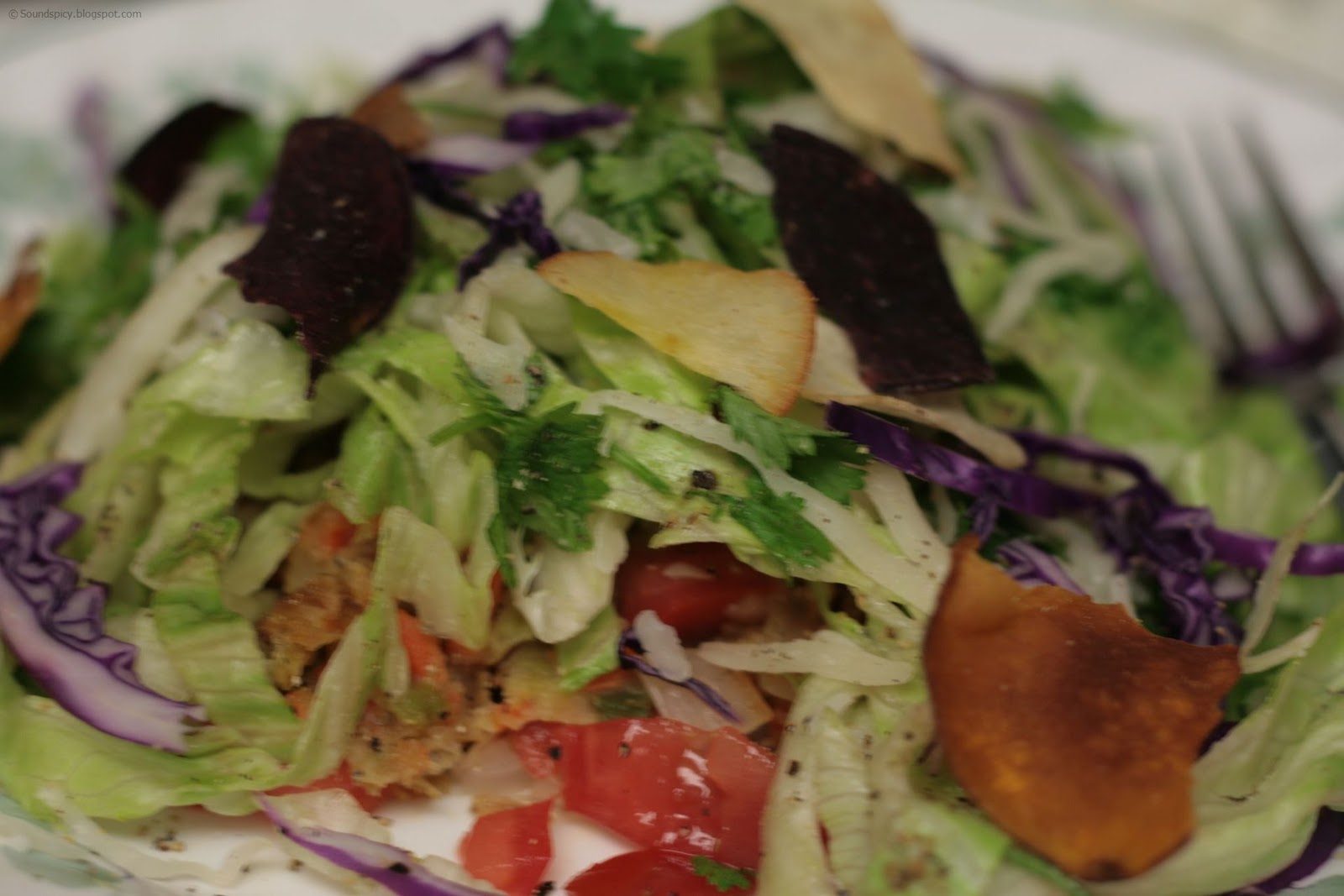 Burger Patty Salad Sound'spicy