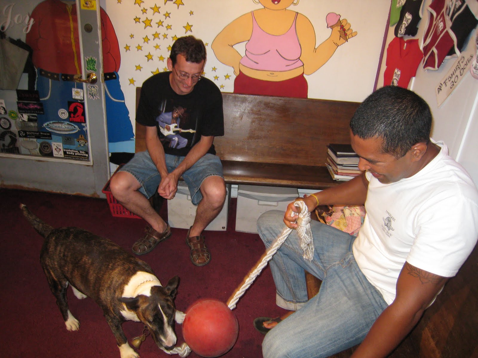 Cape Cod VI Piercings by The Bearded Lady