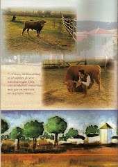 LARGA CORDOBESA HISTORIA DE LA PRENSA TAURINA DESDE FINALES DEL XVIII