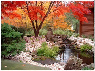 Home Garden Ideas: Front Yard Landscaping Ideas