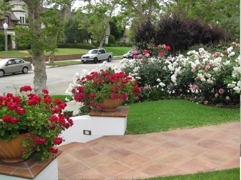 Home Garden Ideas: Front Garden Ideas