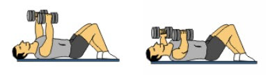 BODY FITNESS: CHEST DUMBBELL EXERCISES