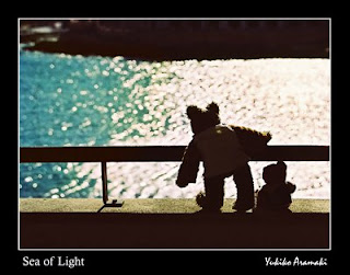 Sea of Light - Two little teddy bears, Teddy and Pencil, are gazing at the sea full of light. Photo was taken in Malta, by Yukiko Aramaki.