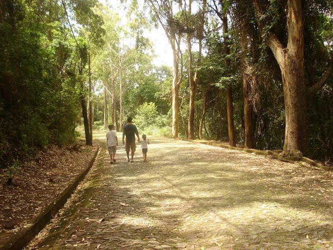 UM CAMINHO...