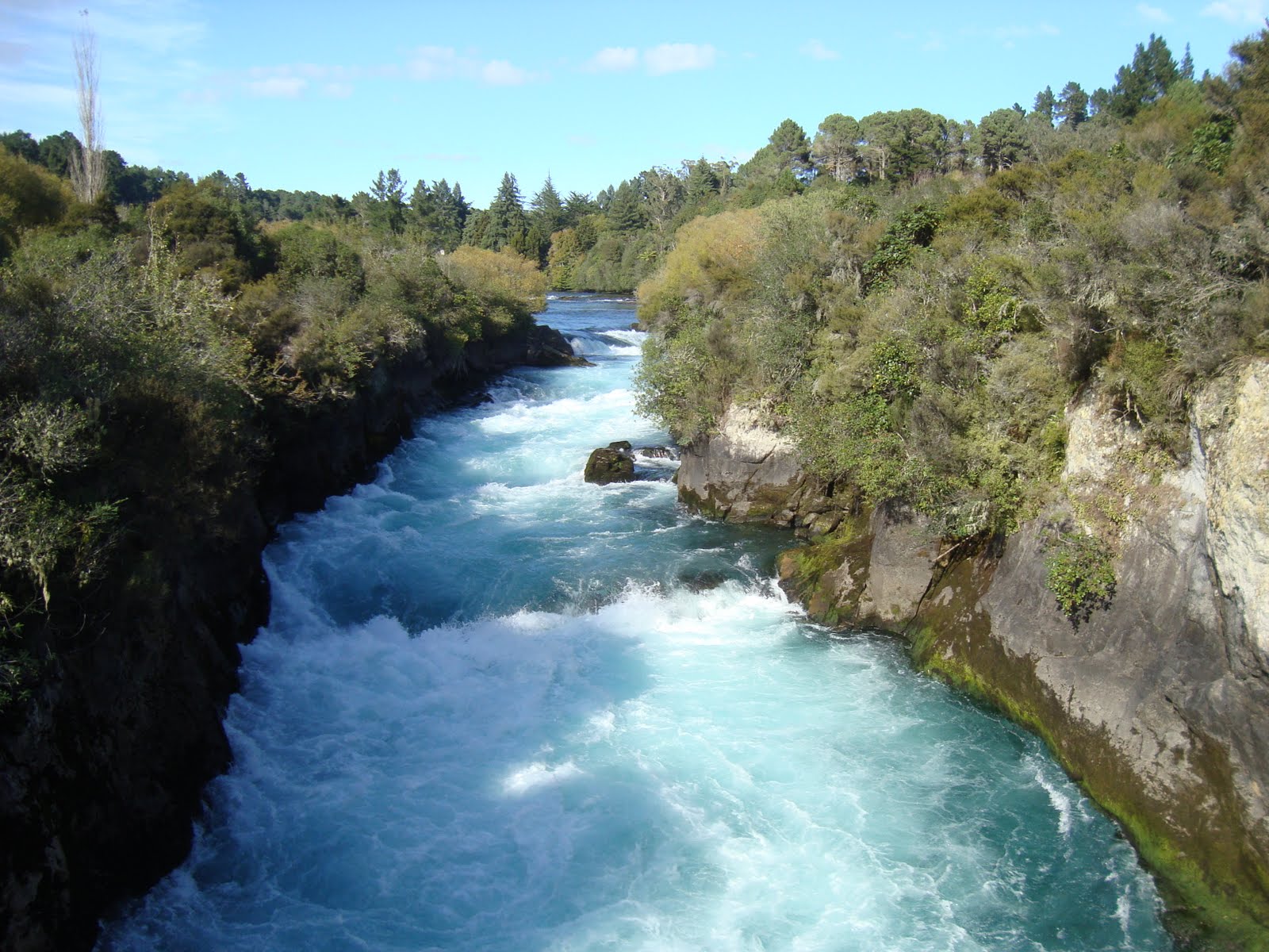 Down Under In New Zealand: Roadtrip part 1.3