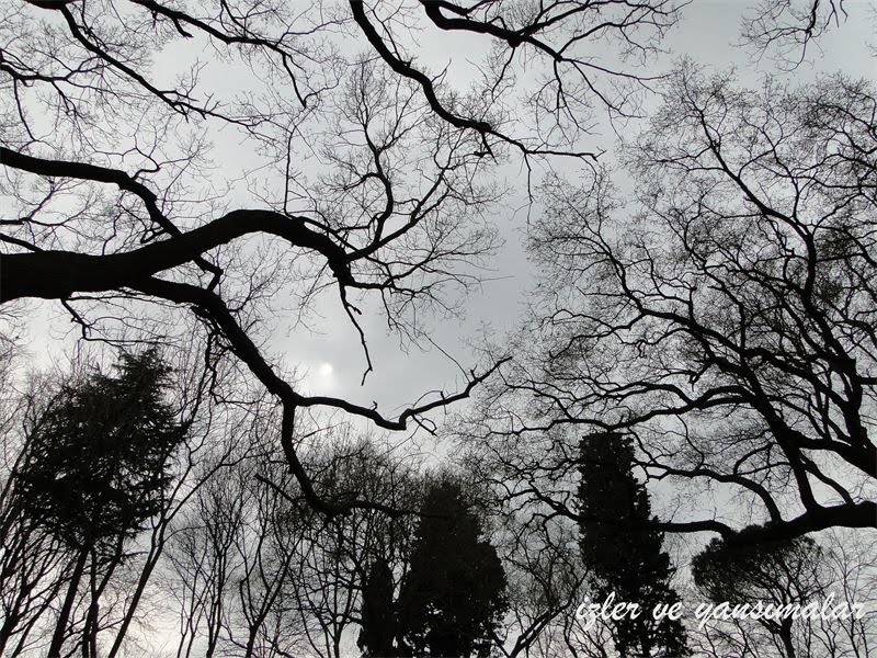 hayat son zamanlarda siyah