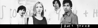 Sonic Youth Play Final Show at McCarren Pool on Saturday, August 30th