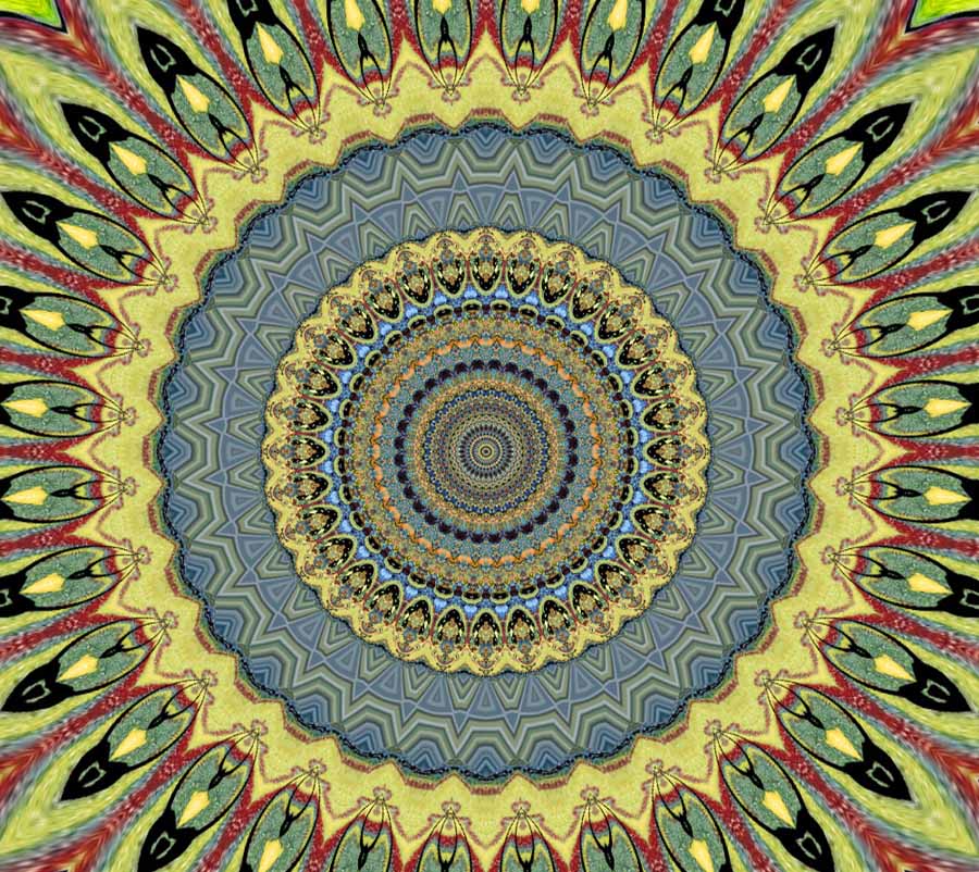 [Mandala+19.jpg]