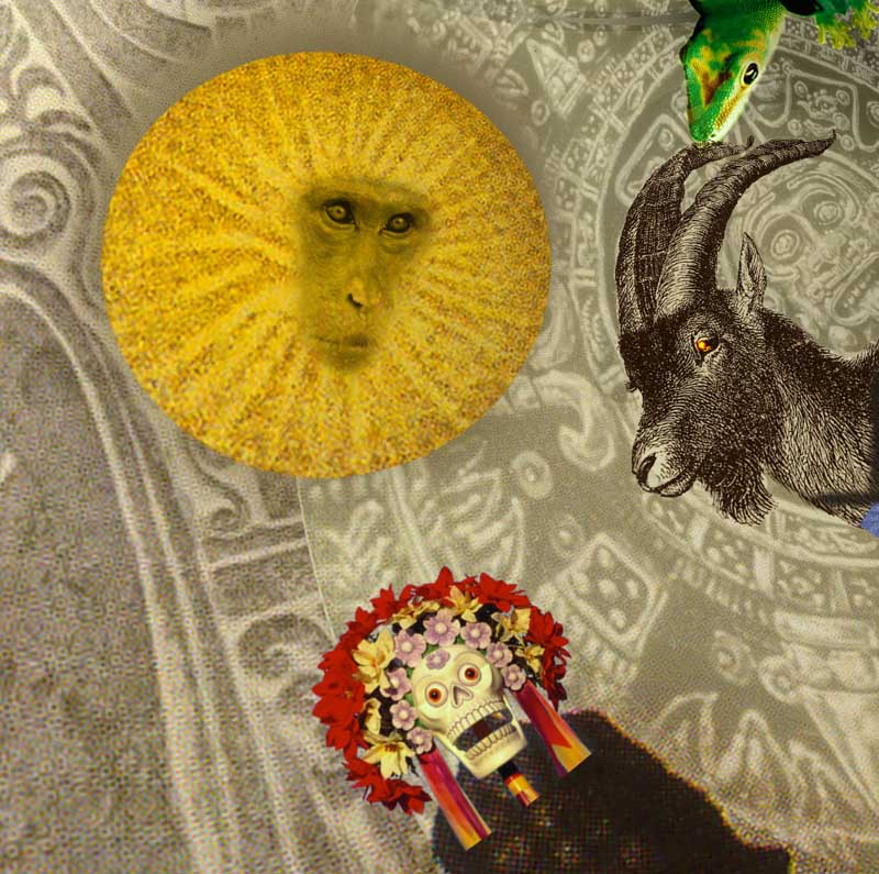 [goat+aplati+2+petit.jpg]