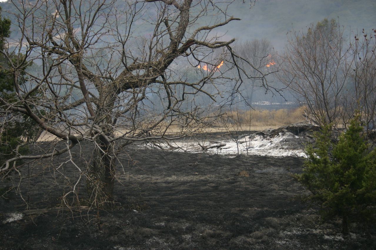 Star Telegraph Remember Palo Pinto