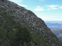 The slopes above the southern end of the Organ Pipes, Mt Wellington, viewed from the ZigZag Track - 16 June 2007