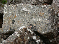 Lichen on dolerite boulder, Hunters Track, Mt Wellington - 26th April 2008