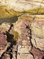 Dolerite? dyke cutting across Permian sedimentary rocks, Fossil Cove - 7th August 2008