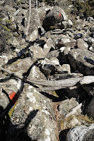 Red paint marks show the way up Haywoods Track, Mount Wellington - 7th August 2010