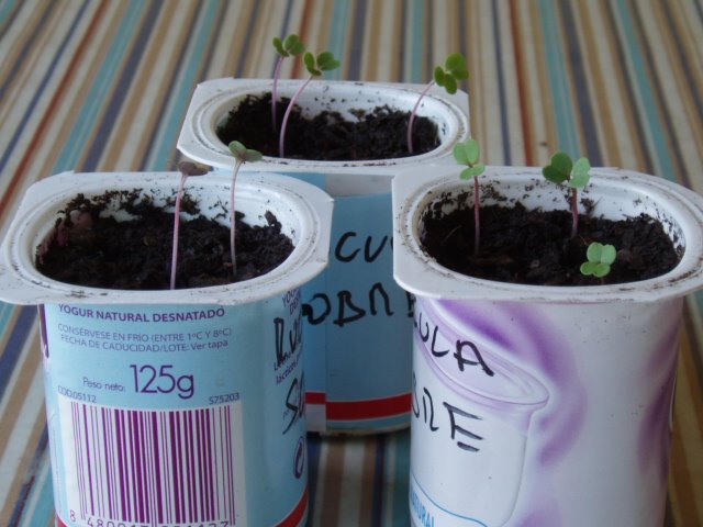 [P3150876.JPG]