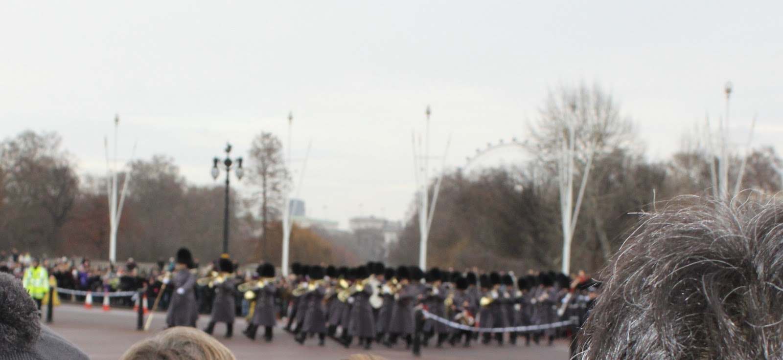 Carol's European Adventure: Changing of the guard at Buckingham Palace