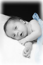 Newborn Portrait Package