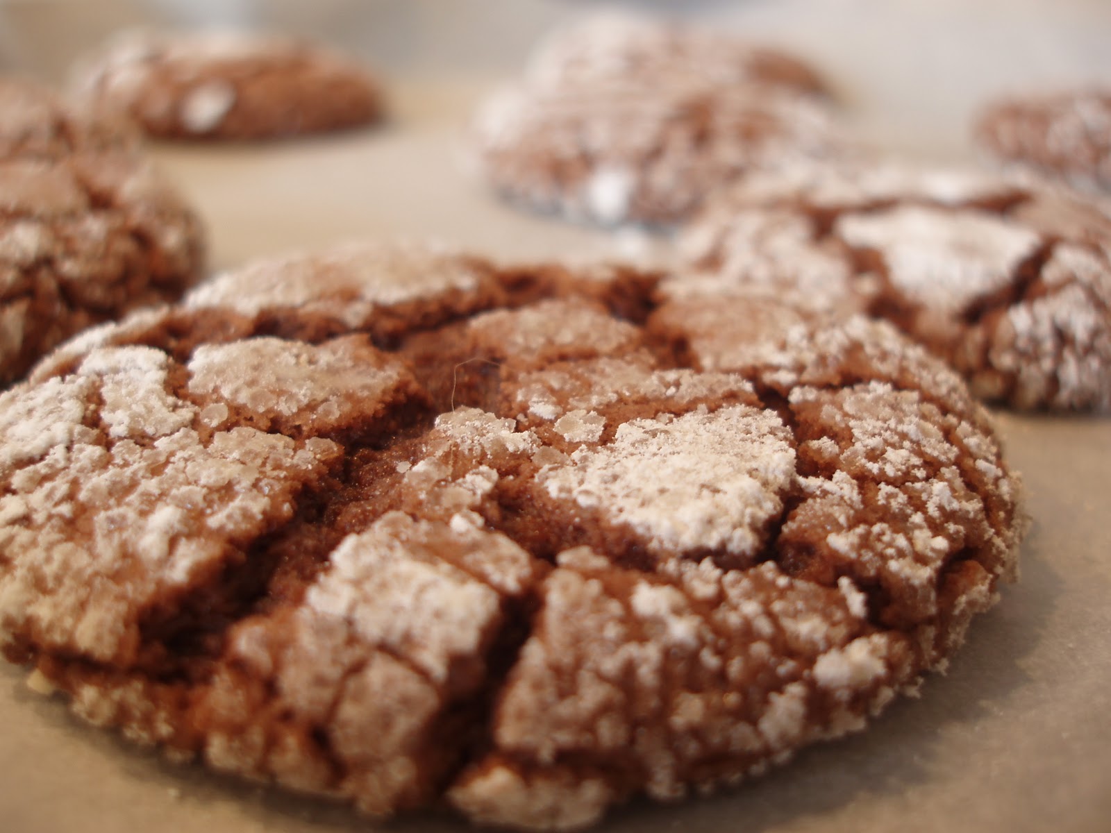 Martha Stewart's Chocolate Crackle Cookies Jasmine's Recipe Book