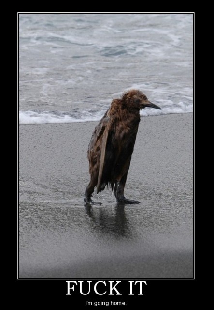 Some days