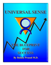 Universal Sense: The Blueprint For Success