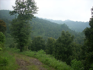 DESA KALISIDI
