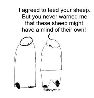 smart sheep