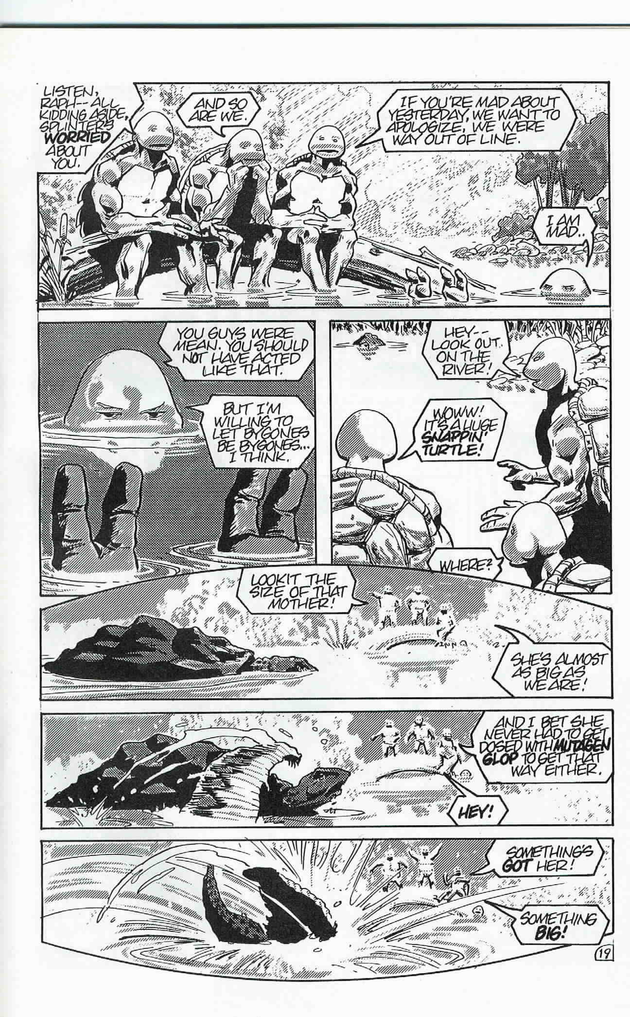 Read online Teenage Mutant Ninja Turtles (1984) comic -  Issue #24 - 20
