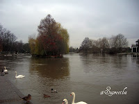 Thames river flowing through Windsor