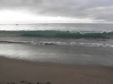 Playa de La Tejita. Granadilla de Abona. Tenerife