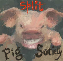 P is for Pig