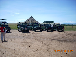Safari Wagons